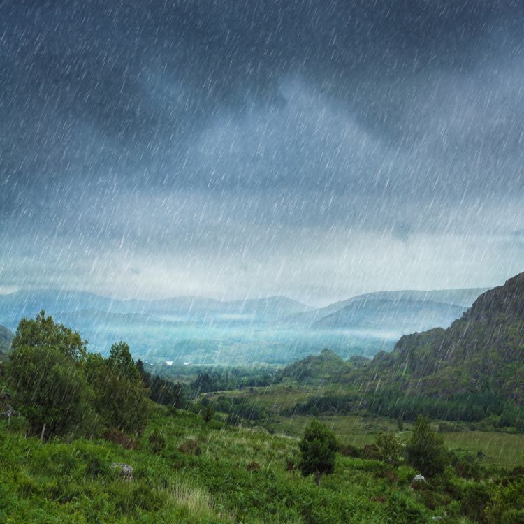 cover art for 5009: LISTEN¦ Gardeners may welcome the rain, but for farmers it's made sowing, planting and moving livestock very difficult. Frank spoke to William Irvine, deputy president of the UFU