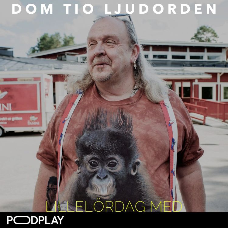 cover art for Dom tio ljudorden