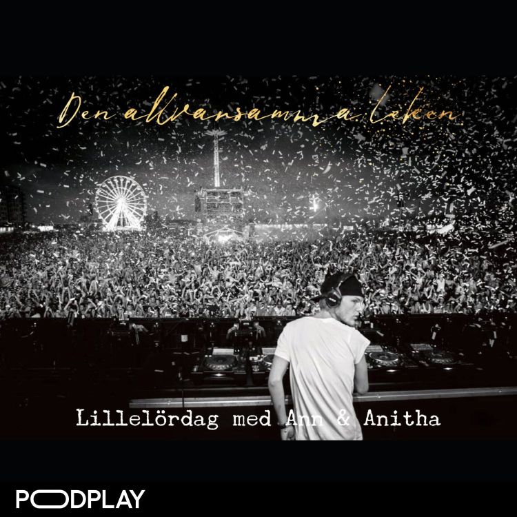 cover art for Den allvarsamma leken