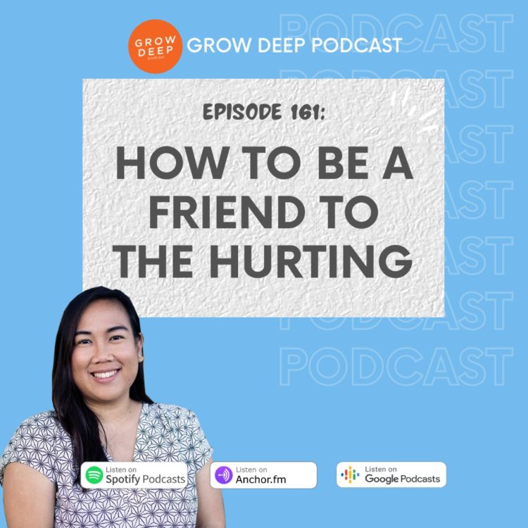 cover art for How to be a Friend to the Hurting - Episode #161