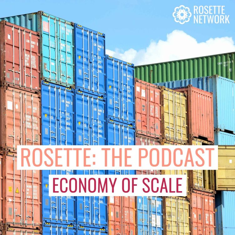 cover art for Economy of scale