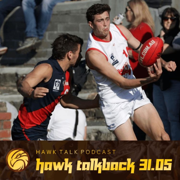 cover art for Hawk Talkback 31.05