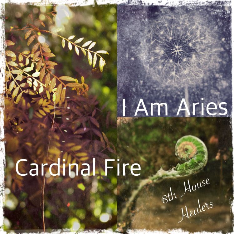 cover art for I Am Aries