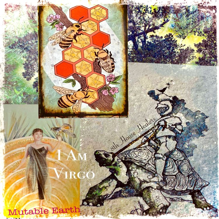 cover art for I Am Virgo