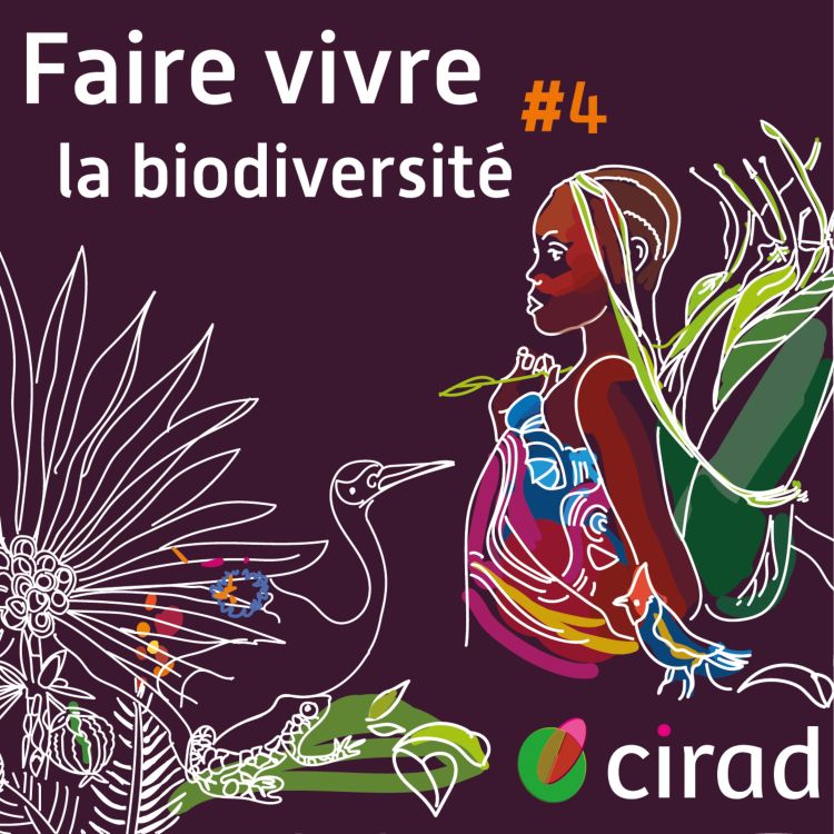 cover art for Faire vivre la biodiversité (4/6) - La chasse, une question de survie ? 