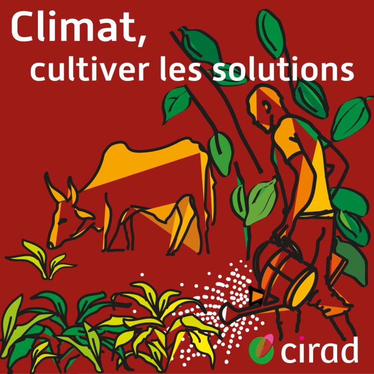cover art for [SAISON 3] Climat, cultiver les solutions