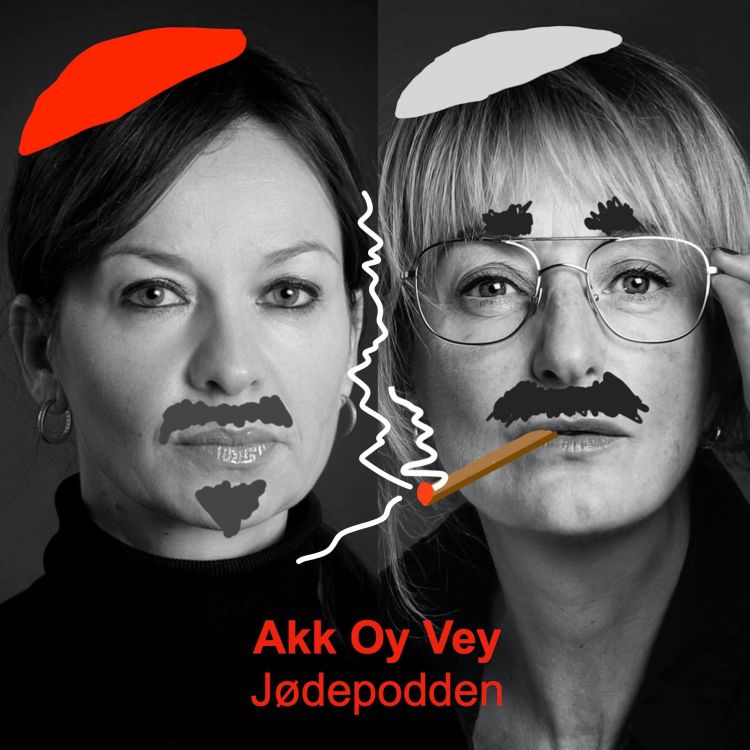 cover art for Hvor er jøden i tv-serien Borgen?