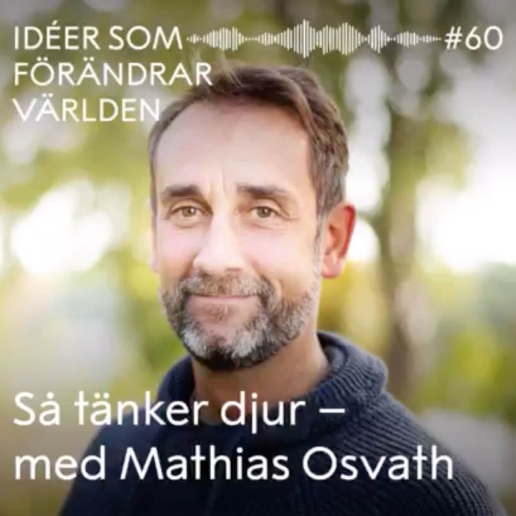 cover art for Så tänker djur – med Mathias Osvath 