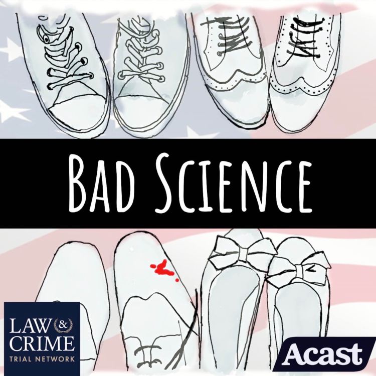 cover art for Bad Science