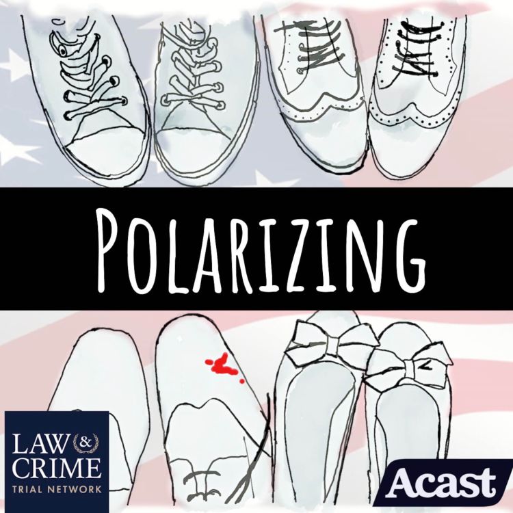 cover art for Polarizing