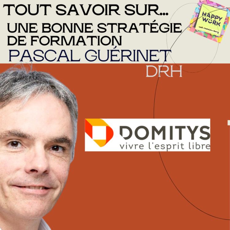 cover art for #1042 - Tout savoir sur... une bonne stratégie de formation - Entretien avec Pascal Guérinet - DRH Domitys