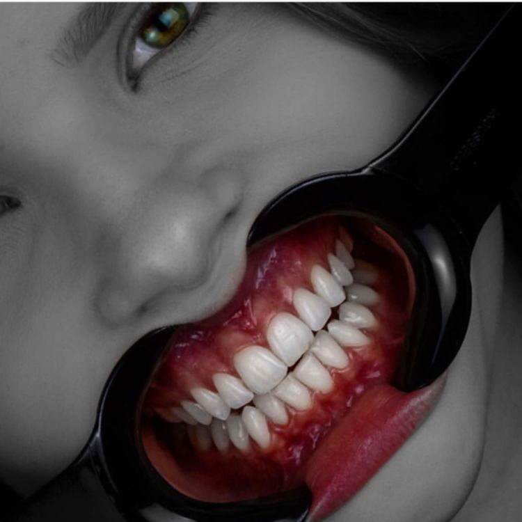 cover art for 94-bk :Biomemetic Restorative Dentistry  :part5