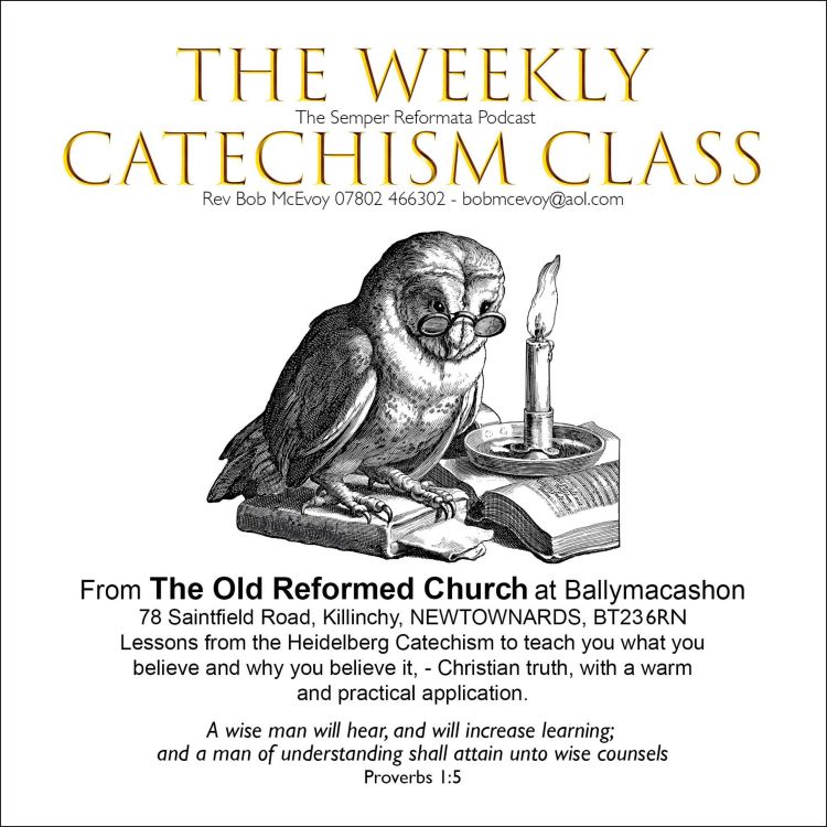 cover art for Catechism Class: LD. 22D Q58 The Life Everlasting