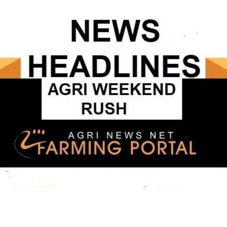 cover art for AGRI NEWS RUSH  - News Headlines  Weekend  2 of March 2023