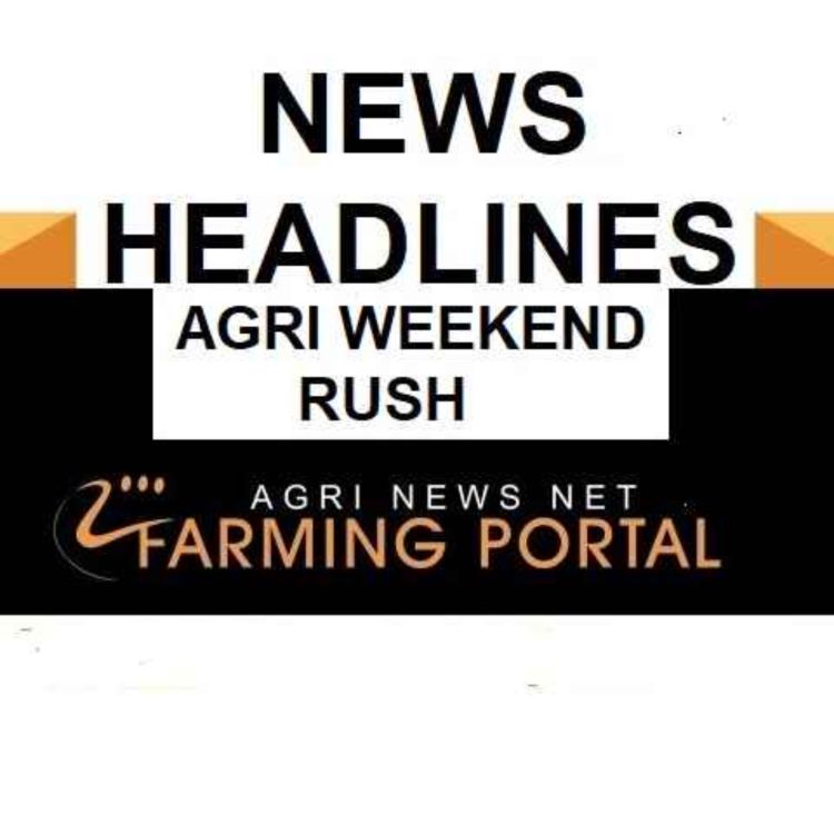 cover art for AGRI NEWS RUSH  - News Headlines  Weekend  4 of March 2023
