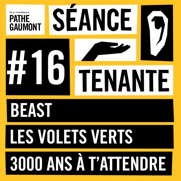 cover art for Beast, Les volets verts et 3000 ans à t’attendre