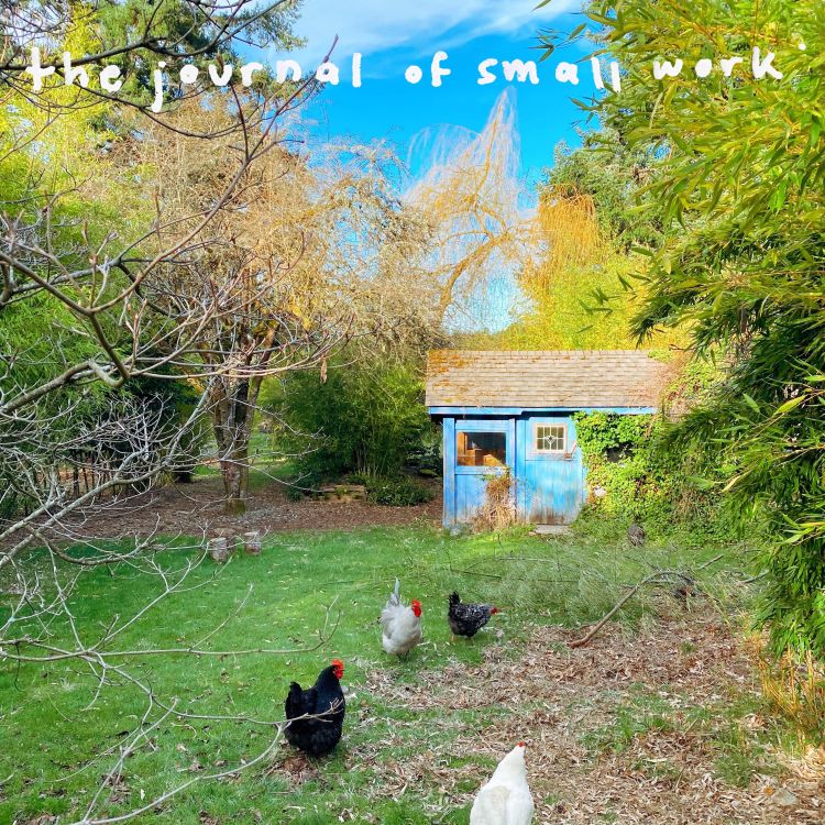 cover art for an interview: the art of living well: a creative life on the land –