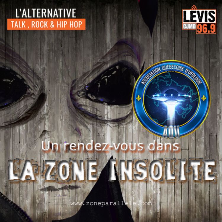 cover art for Zone Insolite - 10 décembre 2022