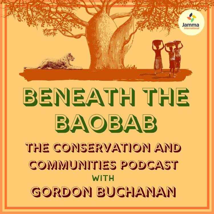 cover art for Beneath The Baobab returns