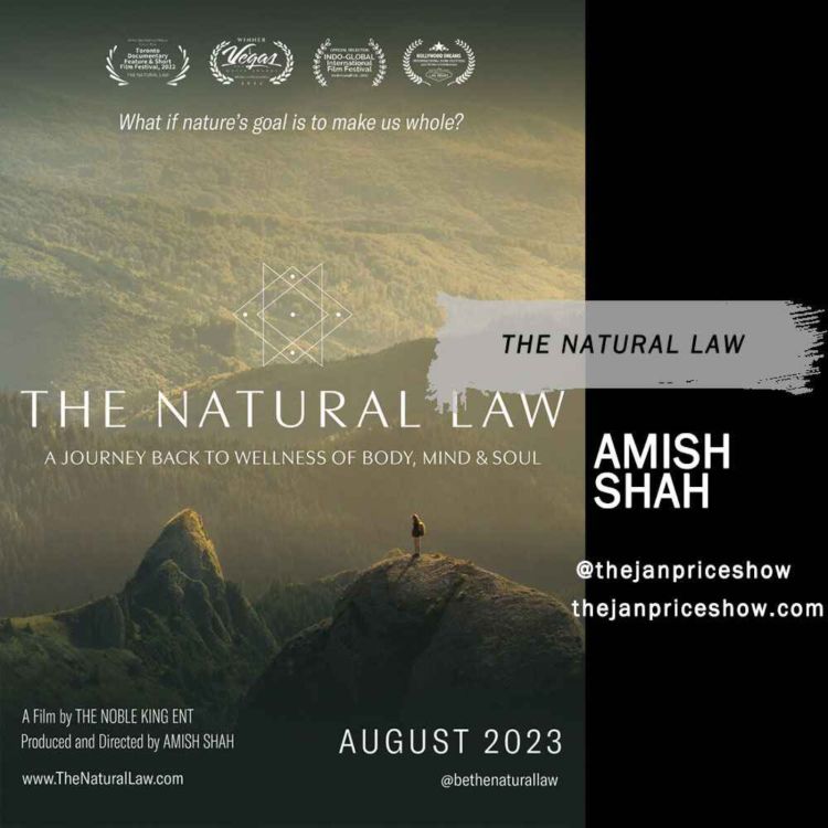 cover art for Amish Shah - The Natural Law