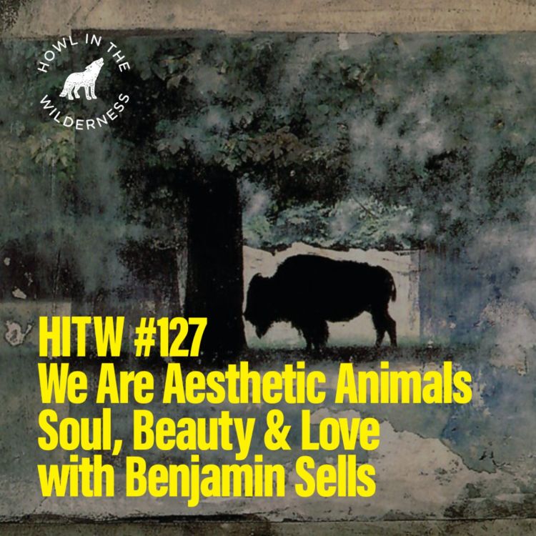 cover art for PREVIEW: We Are Aesthetic Animals | Benjamin Sells | HITW 127