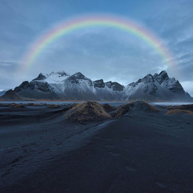 cover art for After the Flood and the Everlasting Covenant