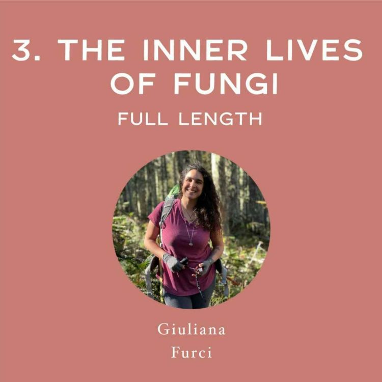 cover art for [Full Interview] The Inner Lives of Fungi - with Giuliana Furci 