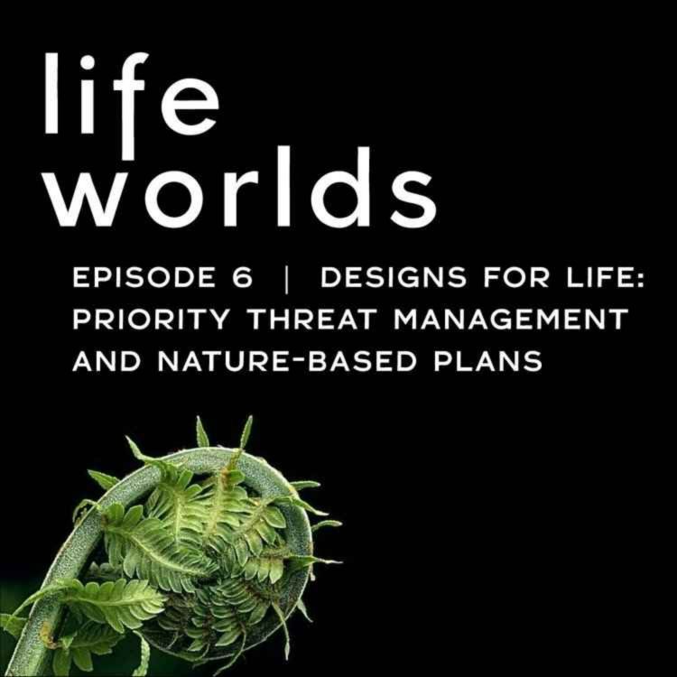 cover art for 6. Designs For Life: Priority Threat Management and Nature-Based Plans