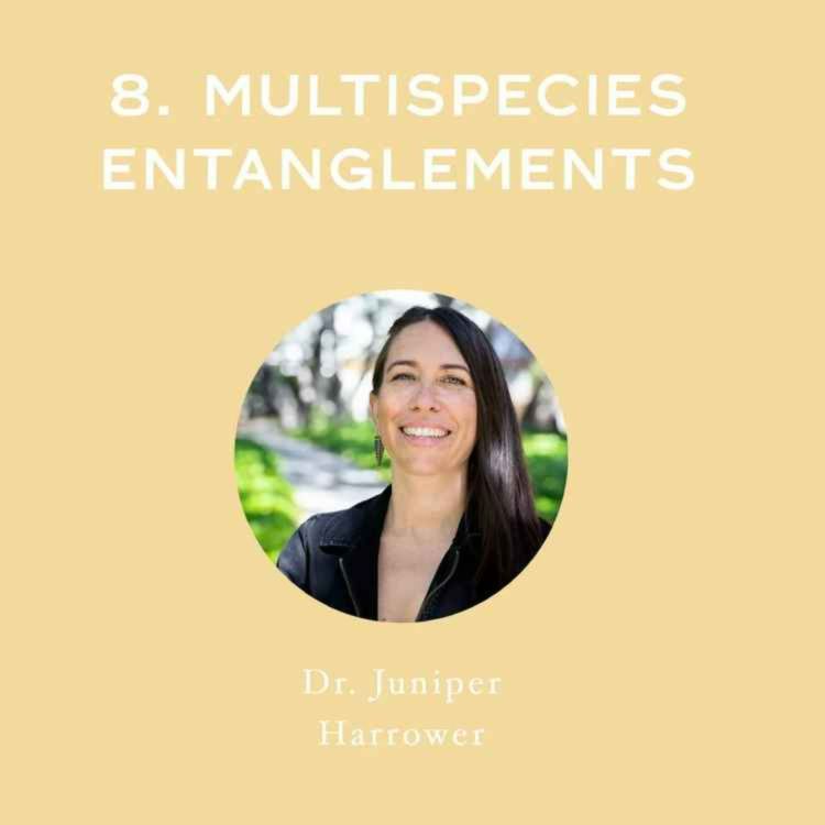 cover art for [Full Interview] Multi-species Entanglements - with Dr June Harrower