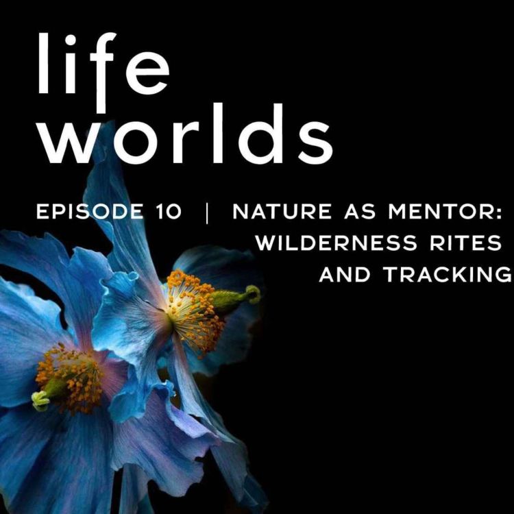 cover art for 10. Nature as Mentor: Wilderness Rites and Tracking 