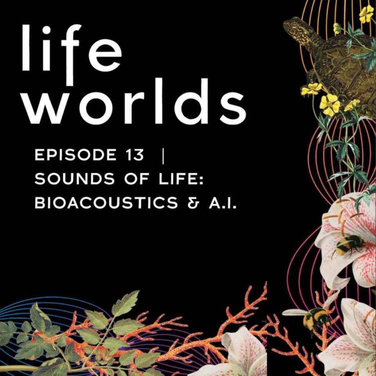 cover art for 13. The Sounds of Life: Bioacoustics, A.I. and Ethics – with Karen Bakker