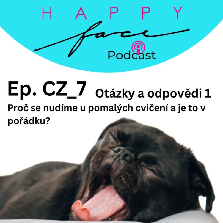 cover art for CZ_7 Otázky a odpovědi 1 PROČ SE NUDÍME U POMALÝCH CVIČENÍ A K ČEMU JE ČCHI KUNG