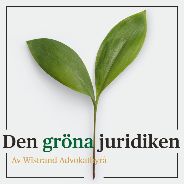 cover art for Miljöpåståenden i marknadsföring & greenwashing