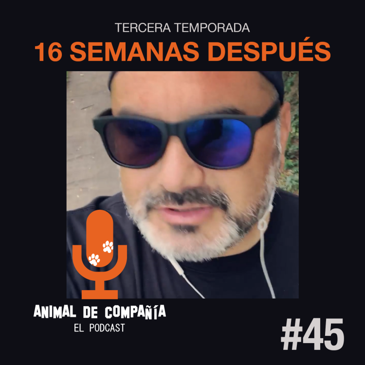 cover art for S3 Ep45: 16 Semanas después - Comienzo de la tercera Temporada