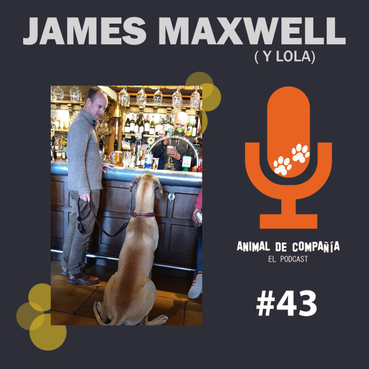 cover art for S2 Ep43: # 43 James Maxwell