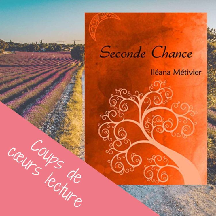 cover art for Avis lecture : Iléana Métivier - Seconde chance