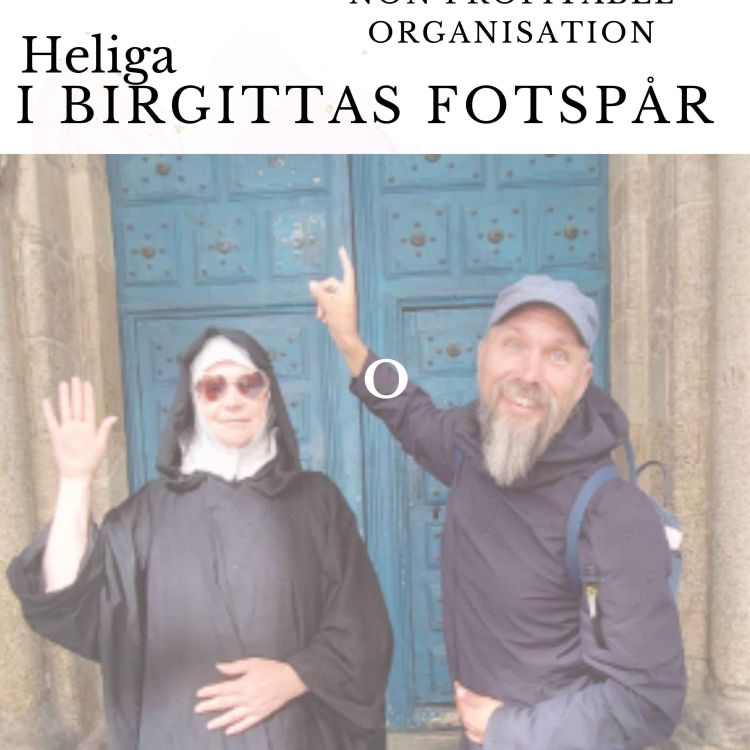 cover art for #3, # I Heliga Birgittas fotspår