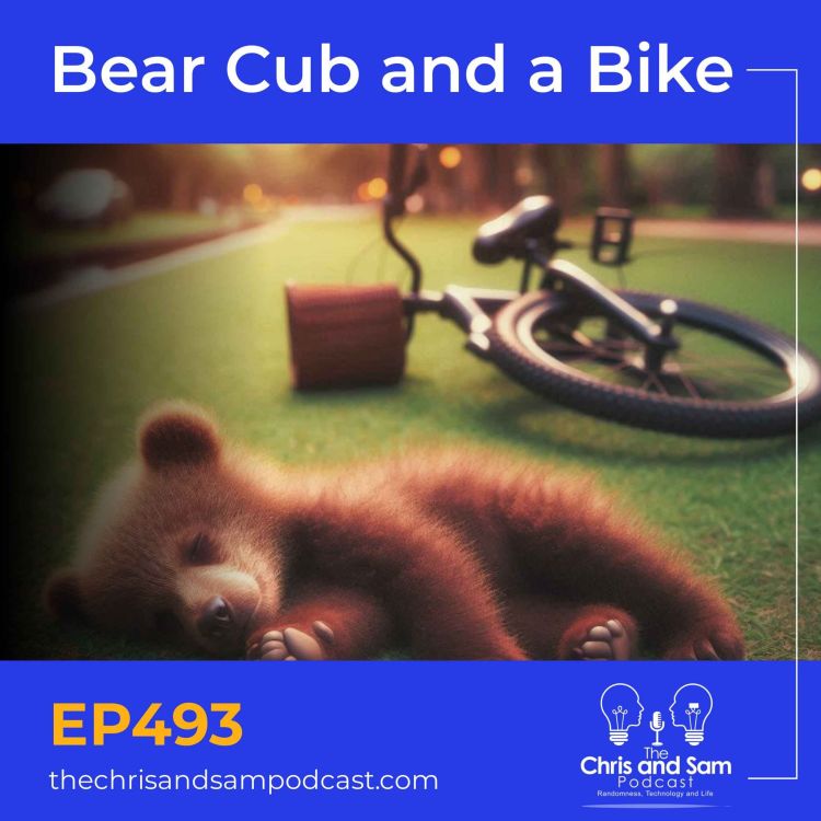 cover art for Bear Cub and a Bike