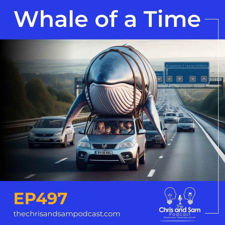 cover art for Whale of a Time