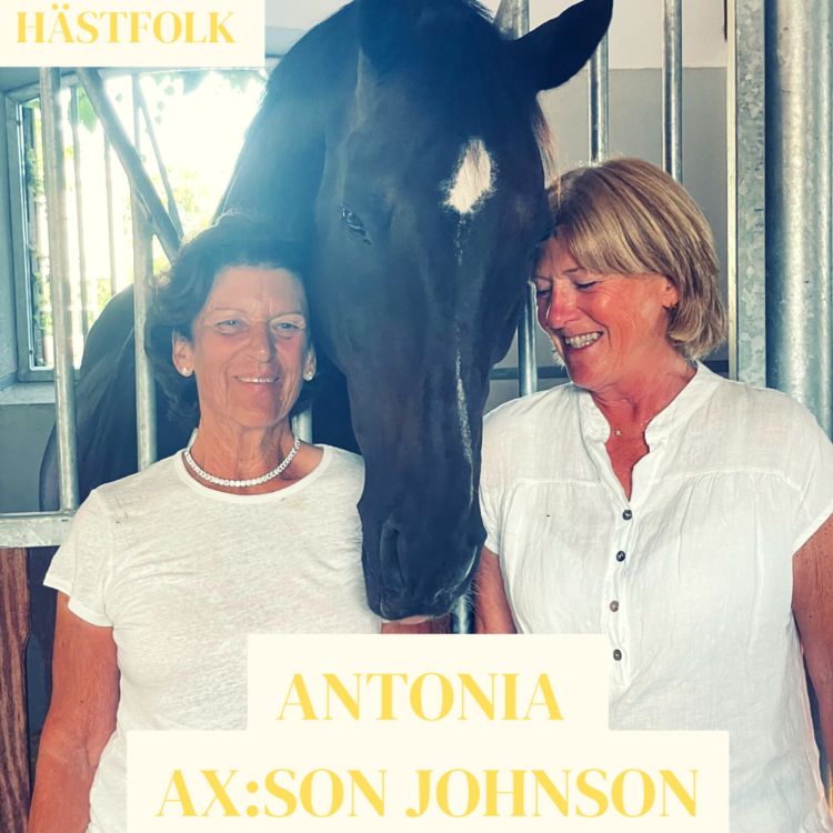 cover art for Antonia Ax:son Johnson