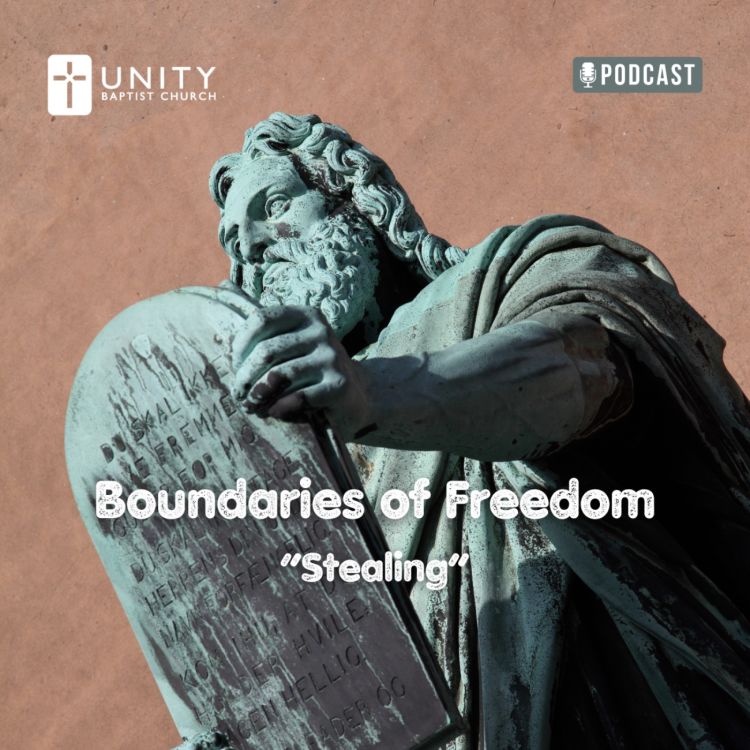 cover art for Boundaries of Freedom: Stealing