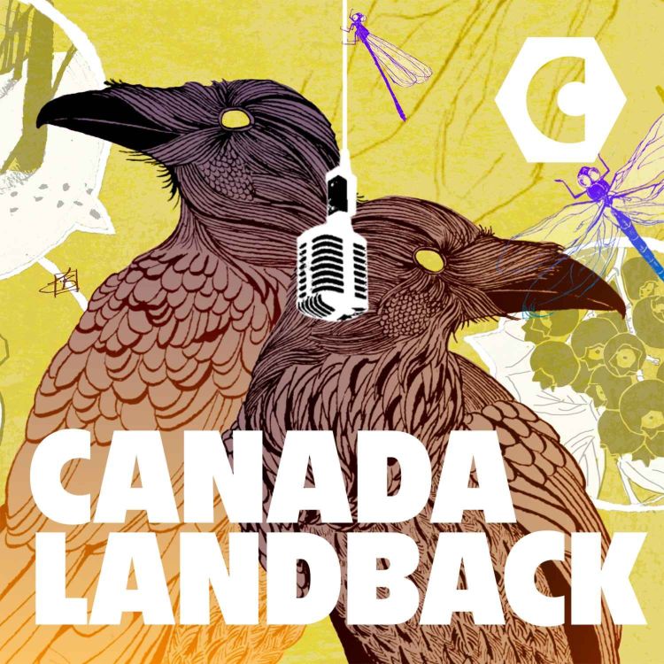 cover art for (CANADALANDBACK) Reclamation At Stoney Point - Part Two