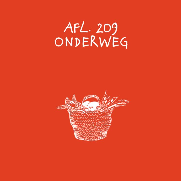 cover art for #209 - Onderweg