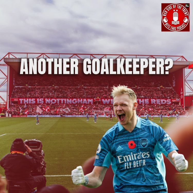 cover art for Another goalkeeper?