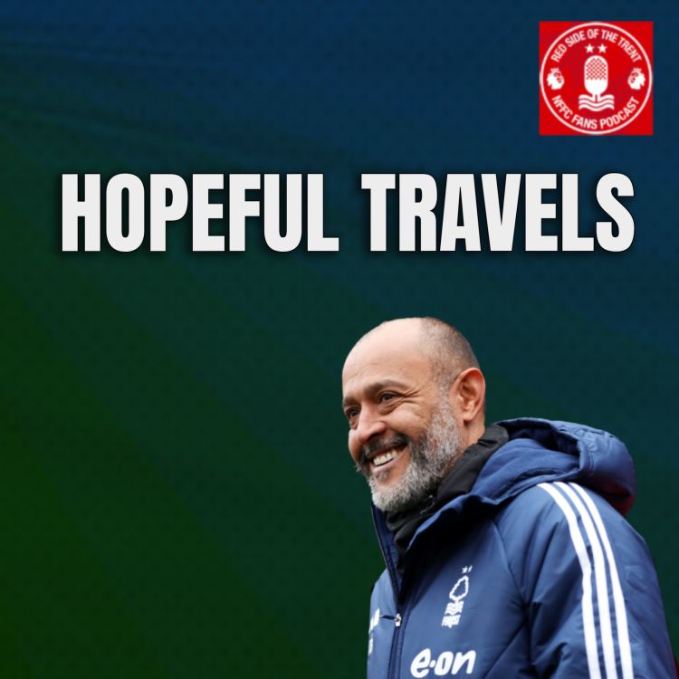 cover art for Hopeful travels