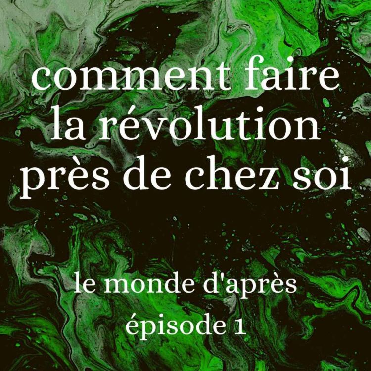 cover art for Comment faire la révolution près de chez soi