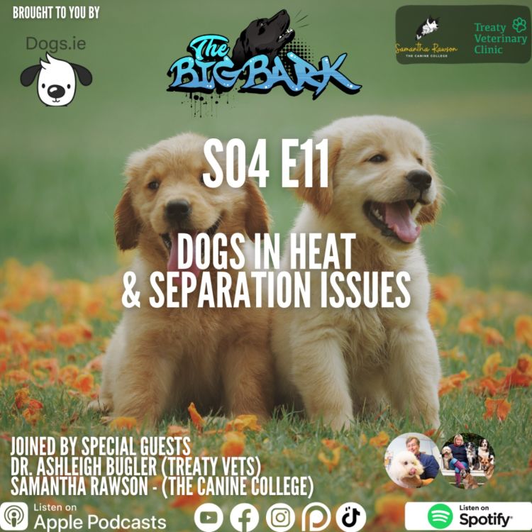 Heat season for dogs hot sale