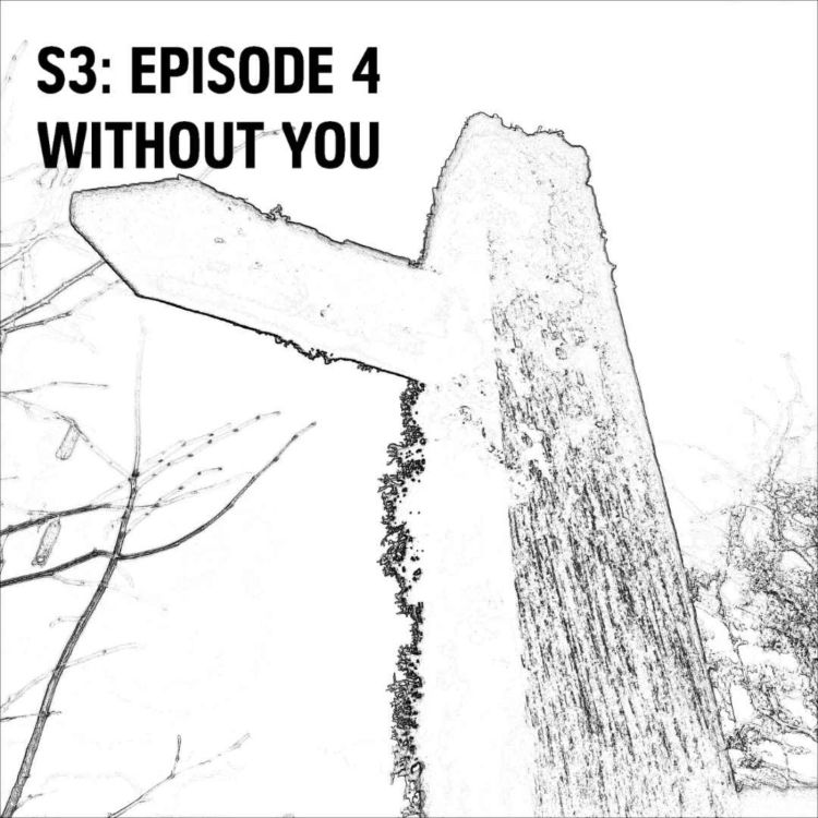 cover art for S3: E04 - Without You