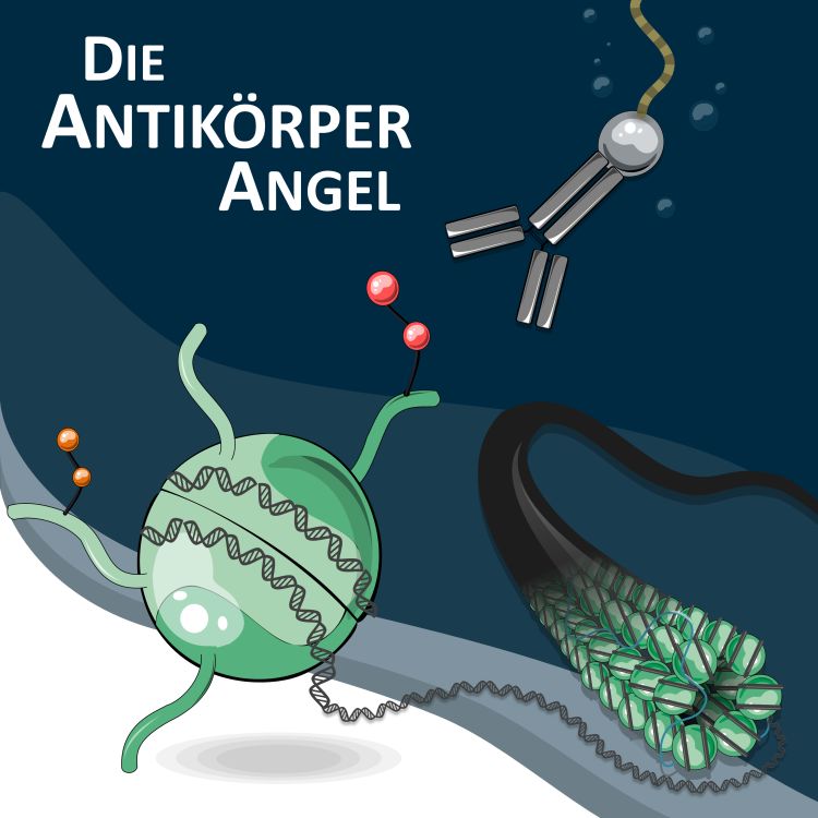 cover art for Felix Stegmann: Angeln mit Antikörpern