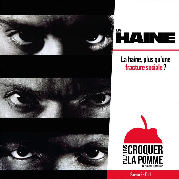 cover art for La Haine : plus qu'une fracture sociale ?